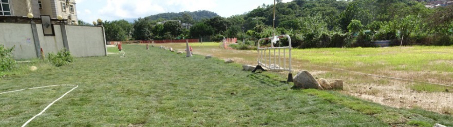 送达恢复原状通知书后恢复的土地图片2后