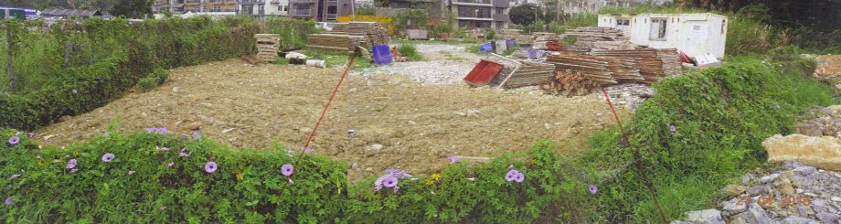 送达恢复原状通知书后恢复的土地图片3前