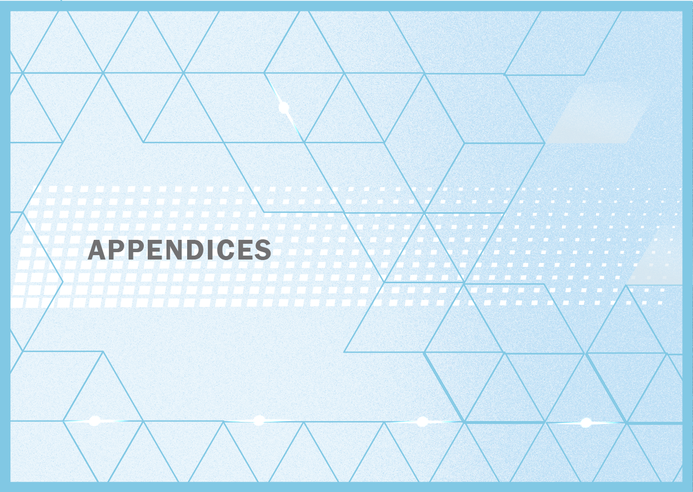 Appendices