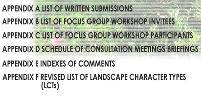 First Stage Public Consultation Report