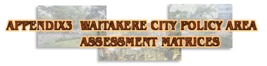 Appendix 3 - Waitakere city policy area assessment matrices