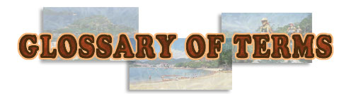Glossary of terms