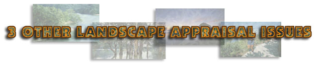 3 other landscape appraisal issues