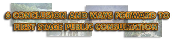 6 CONCLUSION AND WAYS FORWARD TO FIRST STAGE PUBLIC CONSULTATION