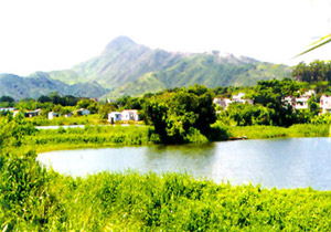 Landscape Value Mapping of HK - Technical Report No.3