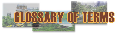 GLOSSARY OF TERMS