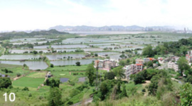 ZW